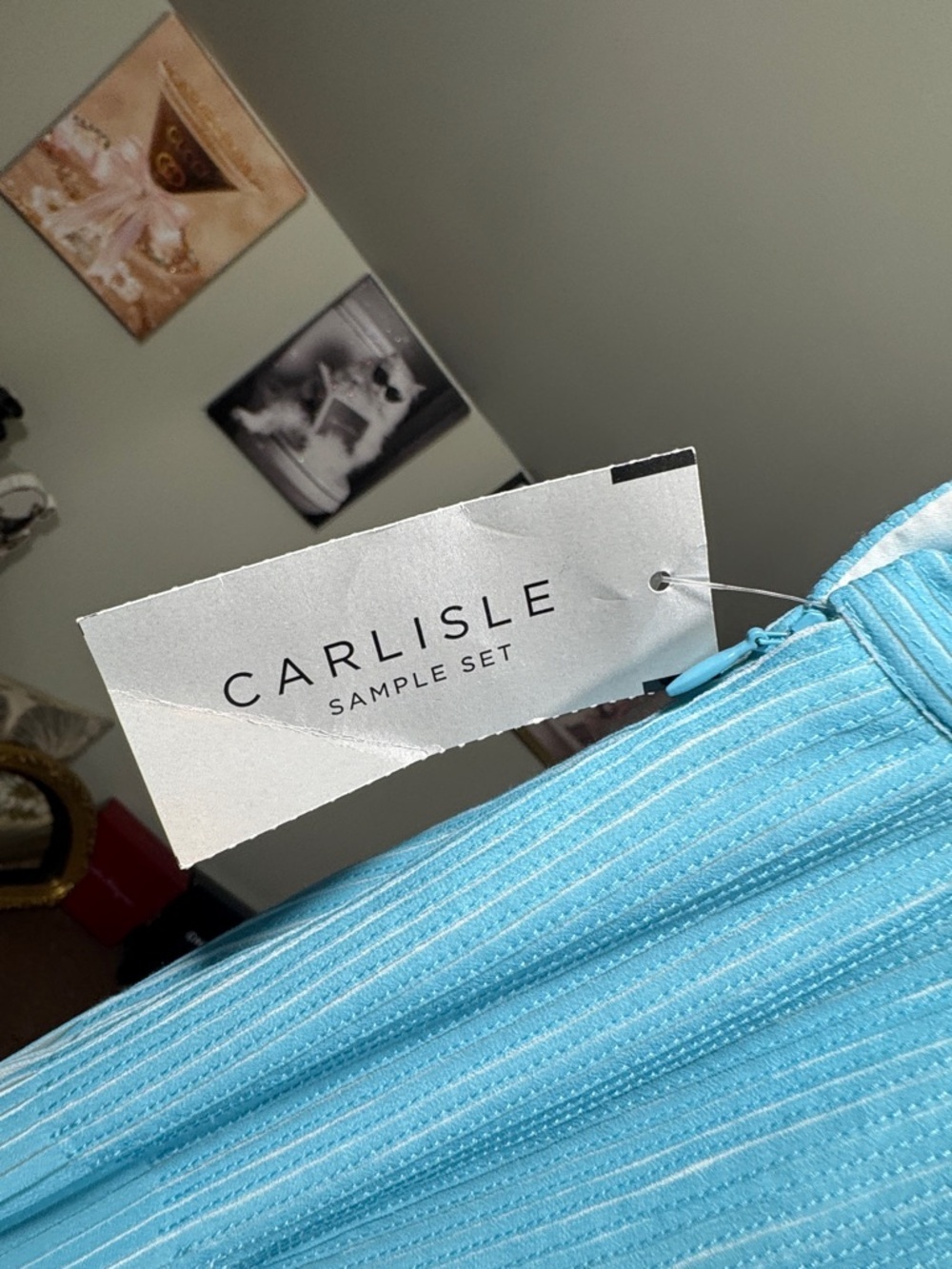 NWT Carlisle Light Aqua and White Micro Pleated Maxi Skirt Retail $658! - Picture 8 of 11